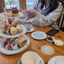 4871 | 홍차와 디저트의 향연, 서울 연희동 티아레나 애프터눈티 세트 후기(예약, 룸, 가는법, 주차, 내돈내산)