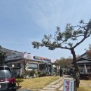 평창강 | 경주 매운탕 제대로 하는 곳, 포석정 맛집 평창강민물매운탕 점심 후기