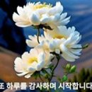 🌺인간관계 사자성어🌺 이미지