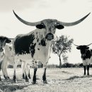 경희삼성한의원 이미지