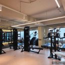 피트니스 웰시 분당정자점 | 헬스장 ㅣ 정자역헬스장 헬린이도 편안하게 운동할 수 있는 피트니스웰시 PT 후기