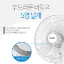 H1409 이미지