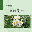 감자꽃필무렵 이미지