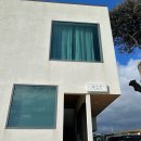 스테이느으린 이미지