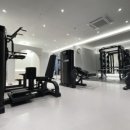 바디와이즈 이미지