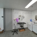 더 펫 애견샾 이미지