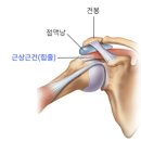 운동공간 정원 이미지