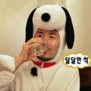 로스트앤파운드 네이버블로그