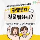 꿈비교육 이미지
