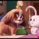 The secret life of pets 2 이미지