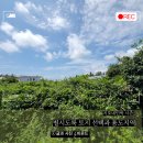 지호민박 이미지