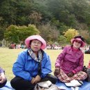 수목원목장 이미지