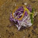 다솜차반 이미지