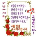 🌹4월의 마지막 날 아침 '당신께 감사를 전합니다' 이미지