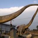 제주화석박물관 이미지