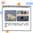 철원새마을금고 미곡종합처리장 이미지