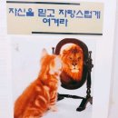 도담댁 7월 일상 - 벌써 7월도 다 지나가버렸다니 믿을 수가 없어요...
