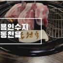 동천육 이미지