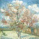 BLOSSOM 20 이미지