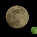 1Q84 이미지