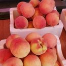 신광농장 이미지