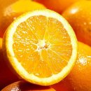 오렌지 이미지