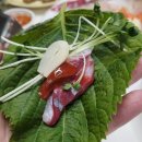 속초오징어어시장 - 성남시 분당구 느티로 27 | 속초오징어어시장