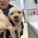 범서약국 이미지