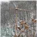 별빛계곡펜션 이미지