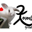 여수밀면 이미지
