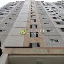 강서구-47 이미지