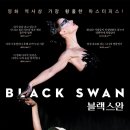 블랙스완 티스토리