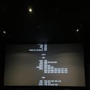 취향마라 이미지