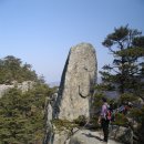참좋타