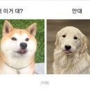 아 이미지