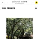 [#2 웨딩 준비💎] 대구 오호스마론 본식 메인 촬영+ DVD 영상 계약 완료 -짝꿍 코드 : 260502