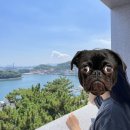 주간일기 8