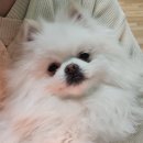 월요병 극복
