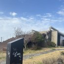 헬로남생이 제주시 조천 한적하고 분위기좋은카페 ”<b>헬로</b><b>남생이</b>“