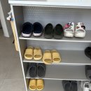 포항 죽도동 두피관리 &#39;인디자인두피탈모센터 본점&#39; 후기