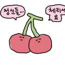 지에스25 일광해수욕장점 이미지