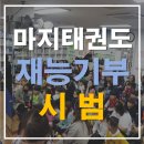 마지태권도장 이미지