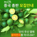 주식회사 월드원무역