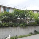 유산길50 이미지