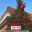 앙떼떼(entete) 이미지