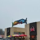 백사장회센터 | [태안 회센터] 백사장 어촌계 수산시장 - 마린보이수산, 만세튀김