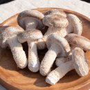 깊은내농장 이미지