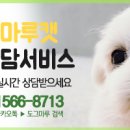 창원강아지분양 고양이분양 도그마루 이미지