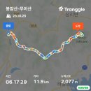 진분계 티스토리