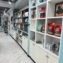 리얼독스 강아지분양 일산본점 이미지